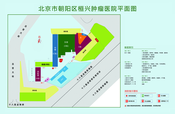 俄罗斯男女操逼大全北京市朝阳区桓兴肿瘤医院平面图